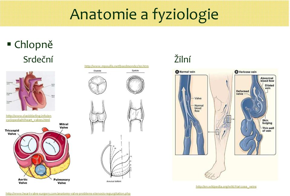 info/en cyclopedia/h/heart_valves.html http://en.wikipedia.