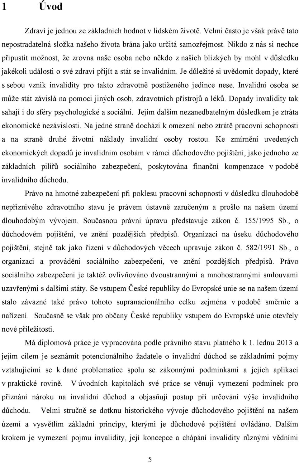 Je důleţité si uvědomit dopady, které s sebou vznik invalidity pro takto zdravotně postiţeného jedince nese. Invalidní osoba se můţe stát závislá na pomoci jiných osob, zdravotních přístrojů a léků.