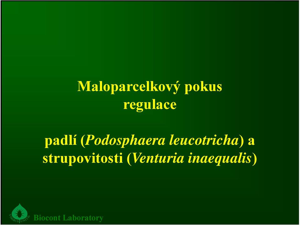 (Podosphaera