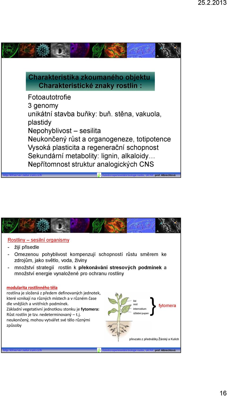 analogických CNS http:/kfrserver.natur.cuni.