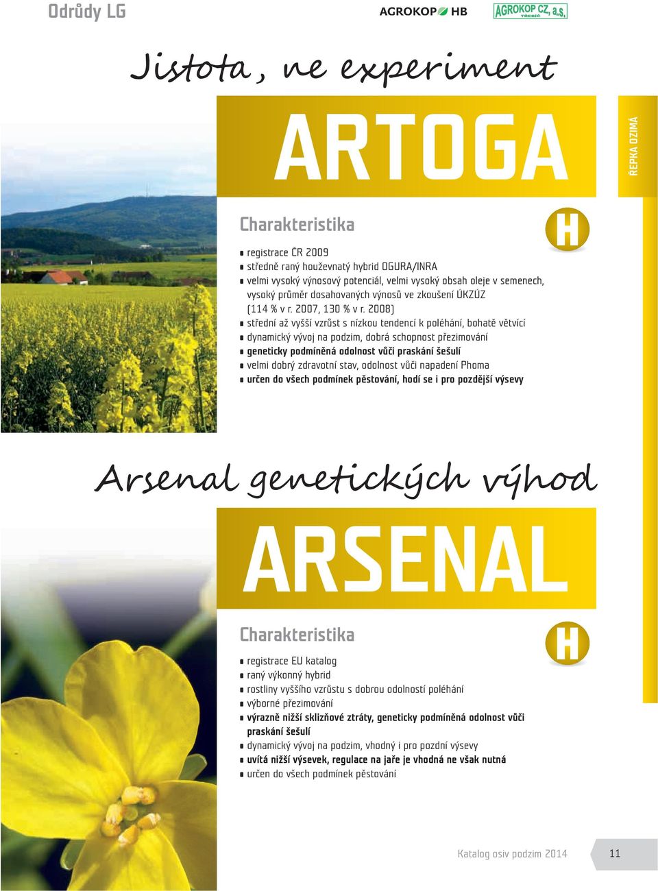 2008) střední až vyšší vzrůst s nízkou tendencí k poléhání, bohatě větvící dynamický vývoj na podzim, dobrá schopnost přezimování geneticky podmíněná odolnost vůči praskání šešulí velmi dobrý