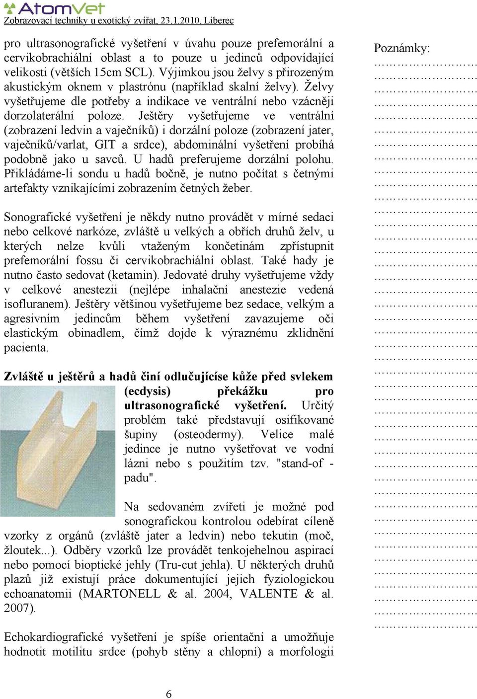 Ještěry vyšetřujeme ve ventrální (zobrazení ledvin a vaječníků) i dorzální poloze (zobrazení jater, vaječníků/varlat, GIT a srdce), abdominální vyšetření probíhá podobně jako u savců.
