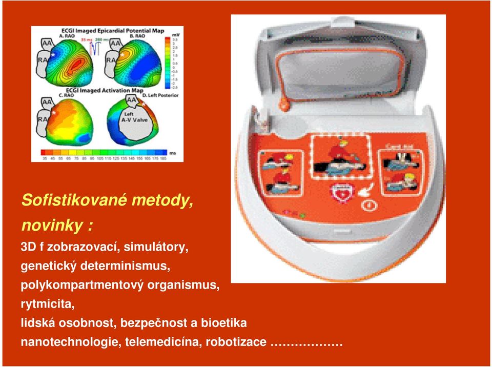 polykompartmentový organismus, rytmicita, lidská