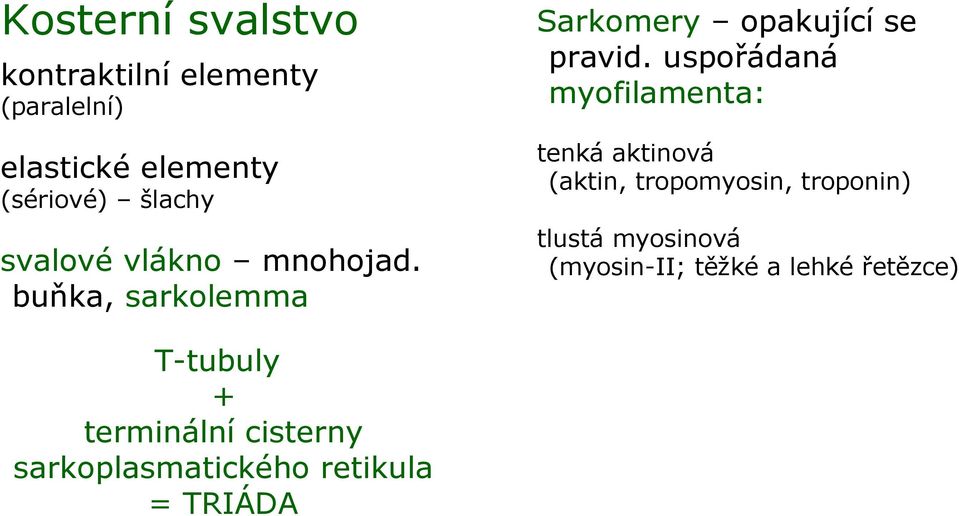 uspořádaná myofilamenta: tenká aktinová (aktin, tropomyosin, troponin) tlustá myosinová