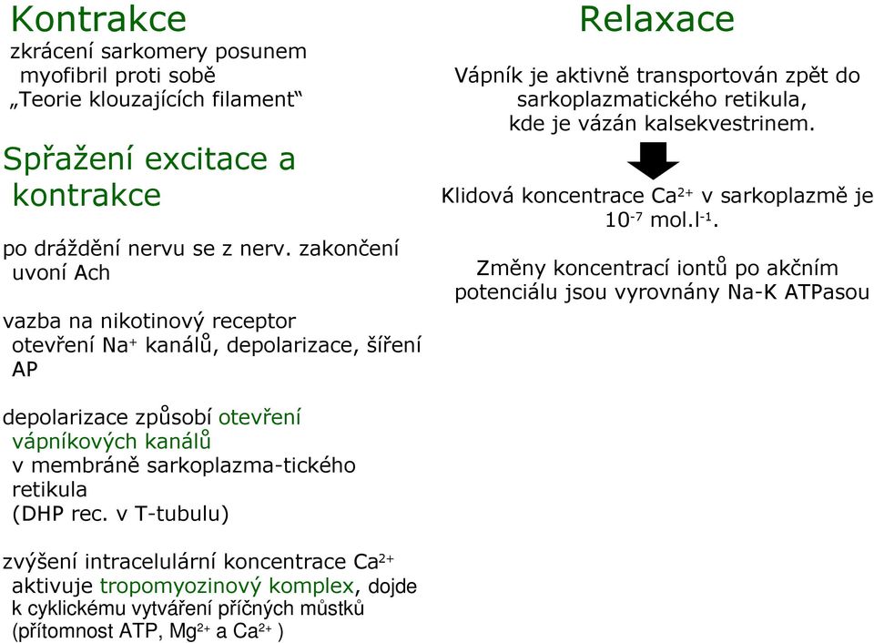 kalsekvestrinem. Klidová koncentrace Ca 2+ v sarkoplazmě je 10-7 mol.l -1.