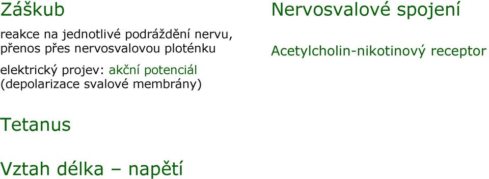 potenciál (depolarizace svalové membrány) Nervosvalové