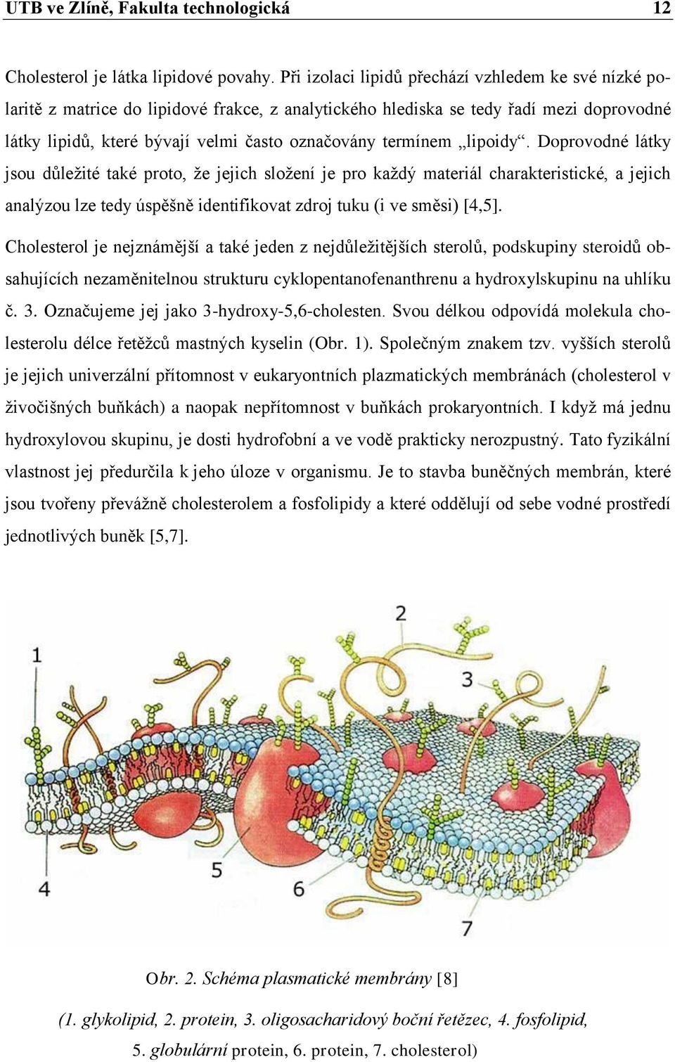 termínem lipoidy. Doprovodné látky jsou důležité také proto, že jejich složení je pro každý materiál charakteristické, a jejich analýzou lze tedy úspěšně identifikovat zdroj tuku (i ve směsi) [4,5].