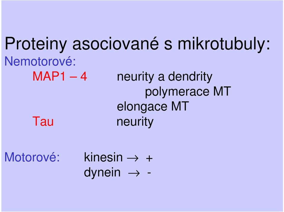 dendrity polymerace MT elongace MT