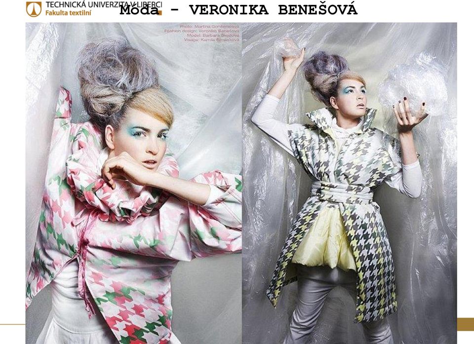 BENEŠOVÁ