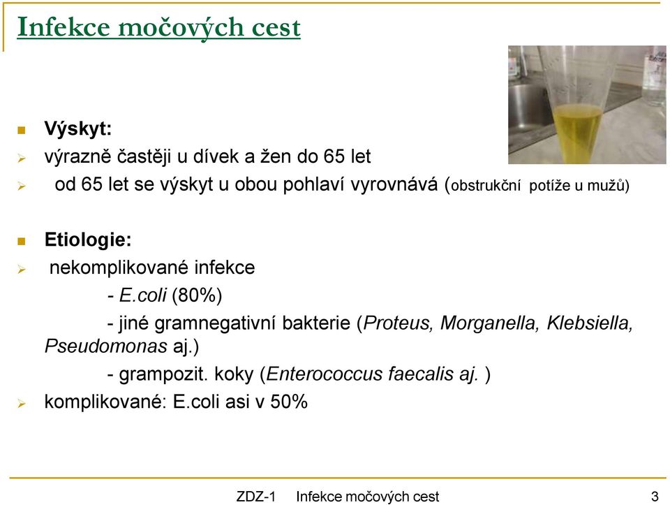 coli (80%) - jiné gramnegativní bakterie (Proteus, Morganella, Klebsiella, Pseudomonas aj.