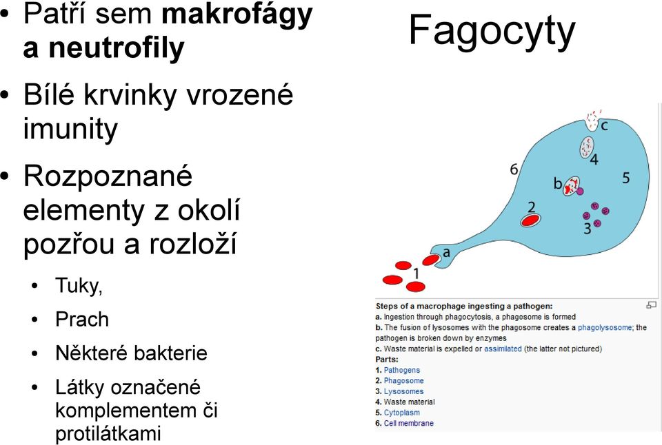 pozřou a rozloží Tuky, Prach Některé bakterie