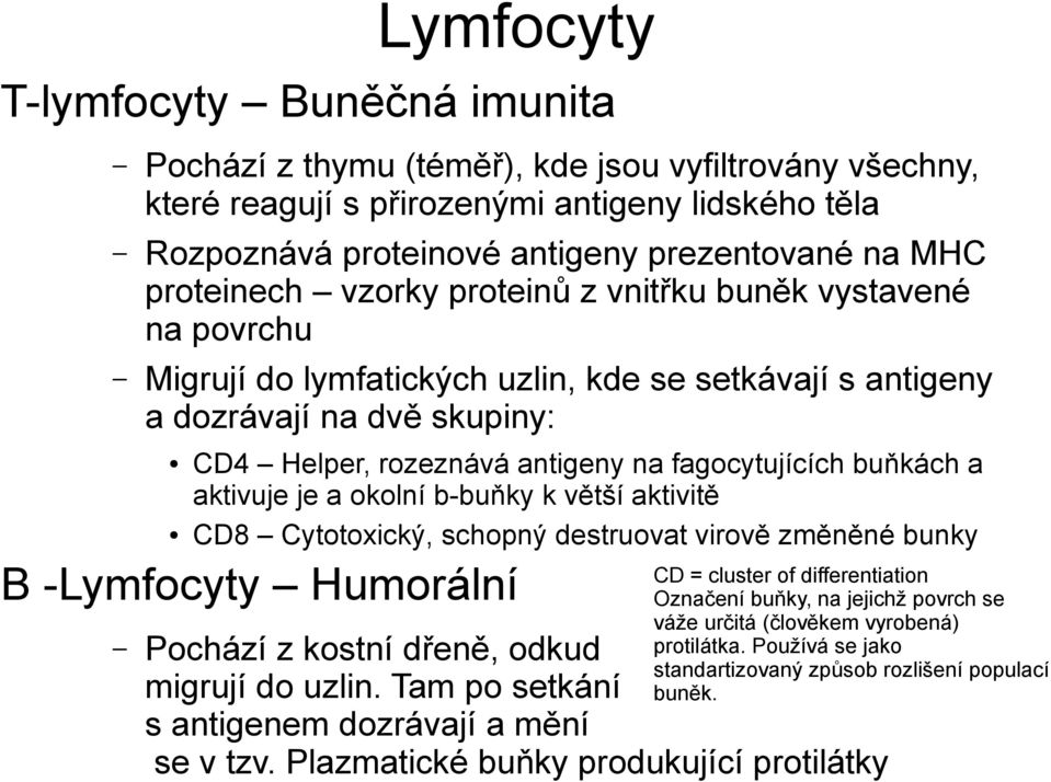 buňkách a aktivuje je a okolní b-buňky k větší aktivitě CD8 Cytotoxický, schopný destruovat virově změněné bunky B -Lymfocyty Humorální CD = cluster of differentiation Označení buňky, na jejichž