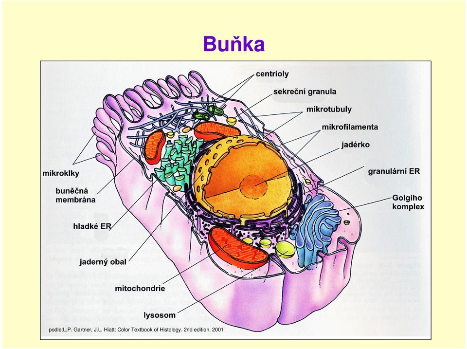 Textbook of