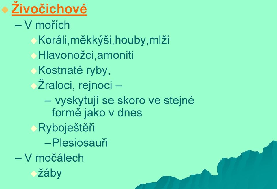 Kostnaté ryby, Ţraloci, rejnoci vyskytují se