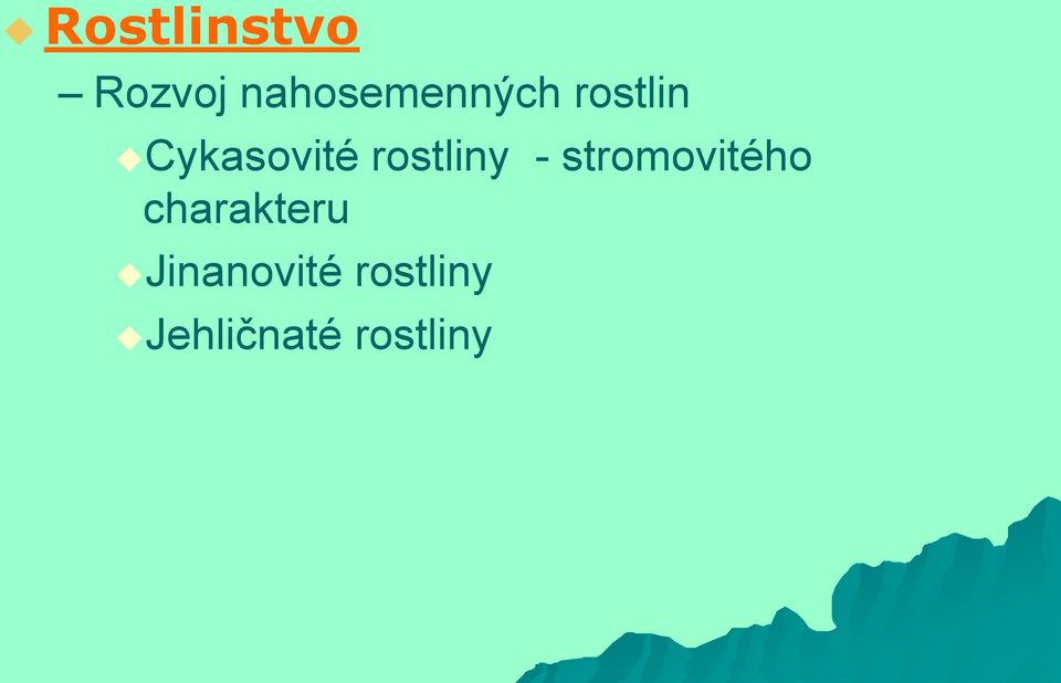 Cykasovité rostliny -