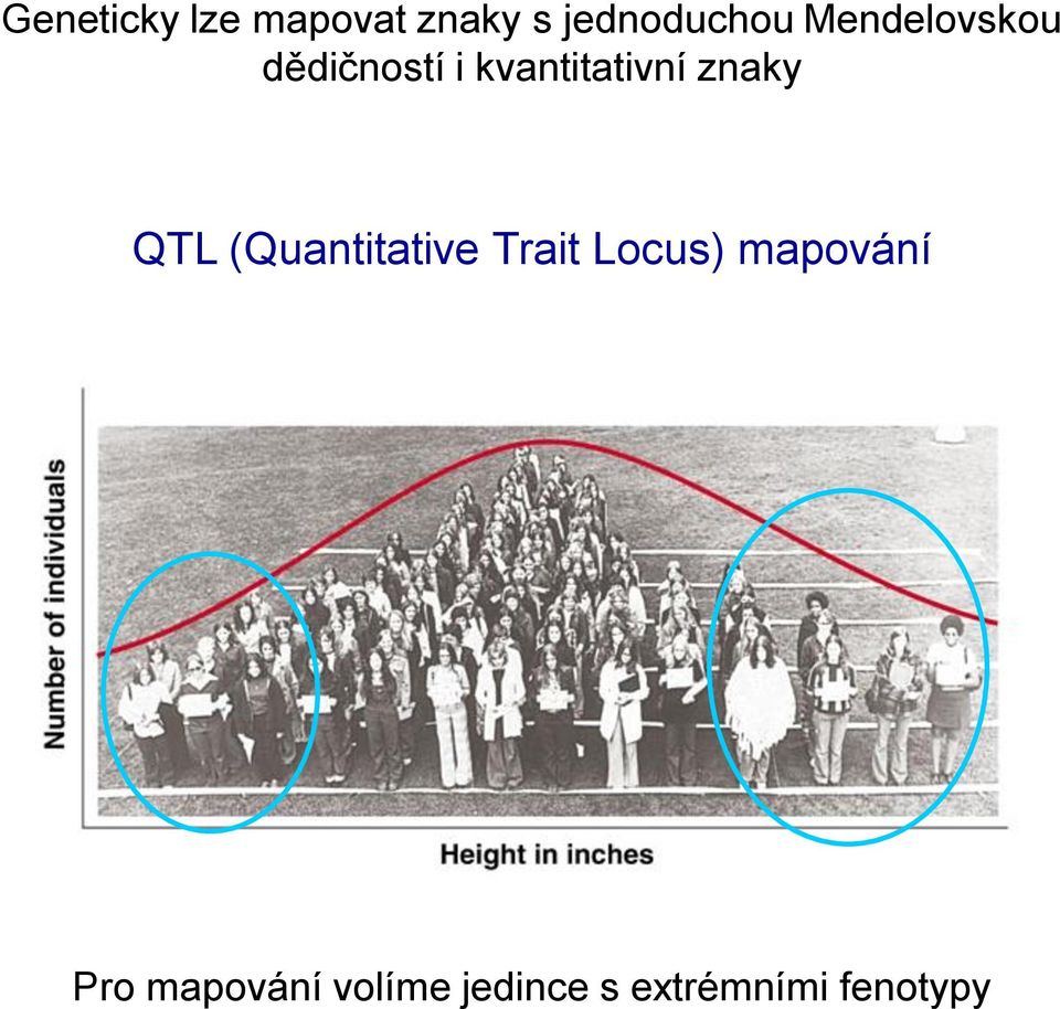 znaky QTL (Quantitative Trait Locus)