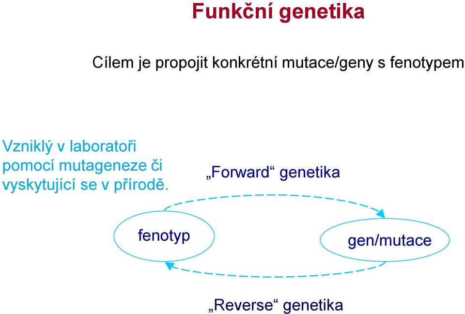 pomocí mutageneze či vyskytující se v přírodě.