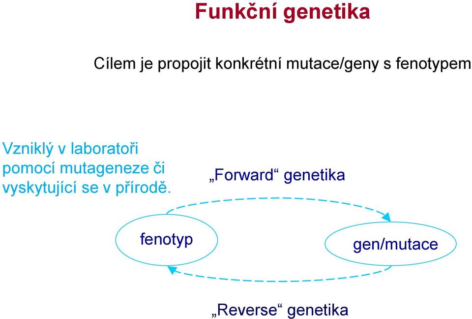 pomocí mutageneze či vyskytující se v přírodě.