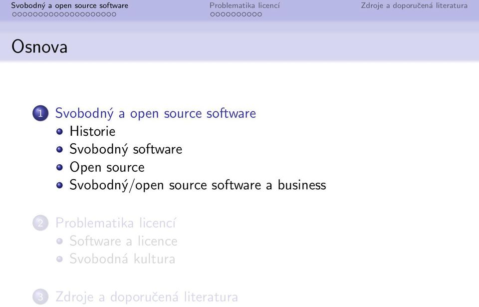 software a business 2 Problematika licencí