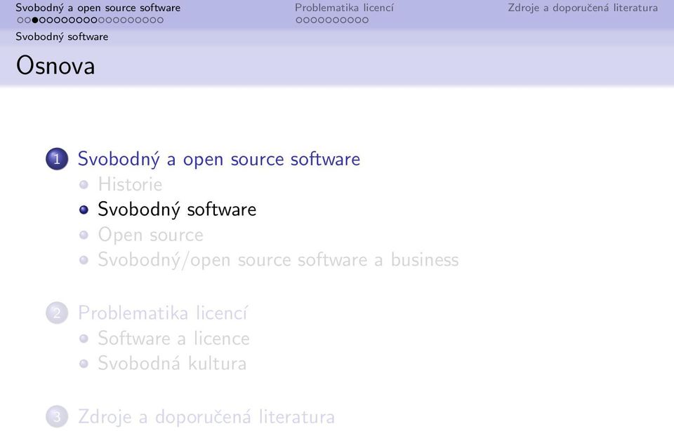 software a business 2 Problematika licencí