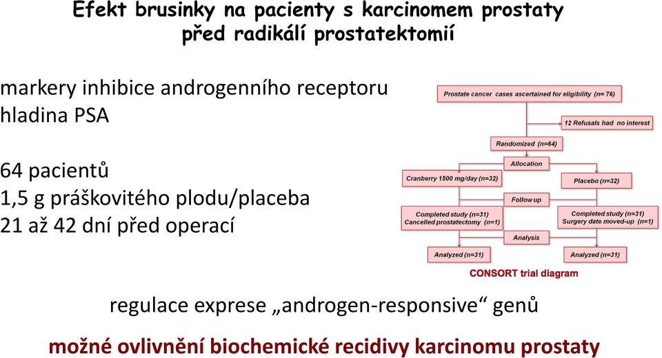 pacientů 1,5 g práškovitého plodu/placeba 21 až 42 dní před operací