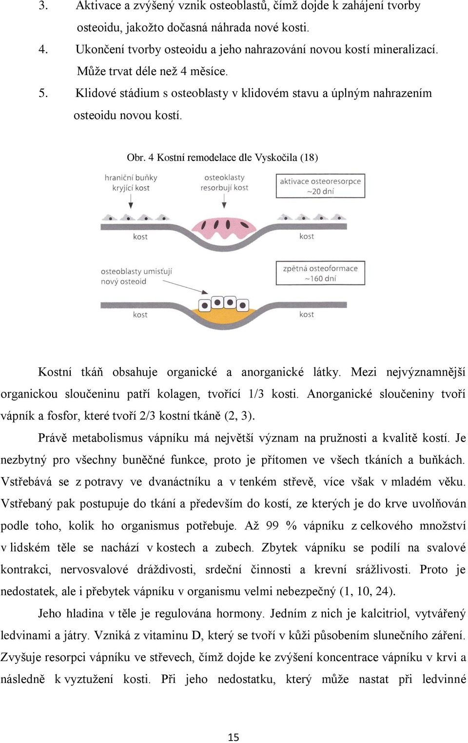 4 Kostní remodelace dle Vyskočila (18) Kostní tkáň obsahuje organické a anorganické látky. Mezi nejvýznamnější organickou sloučeninu patří kolagen, tvořící 1/3 kosti.
