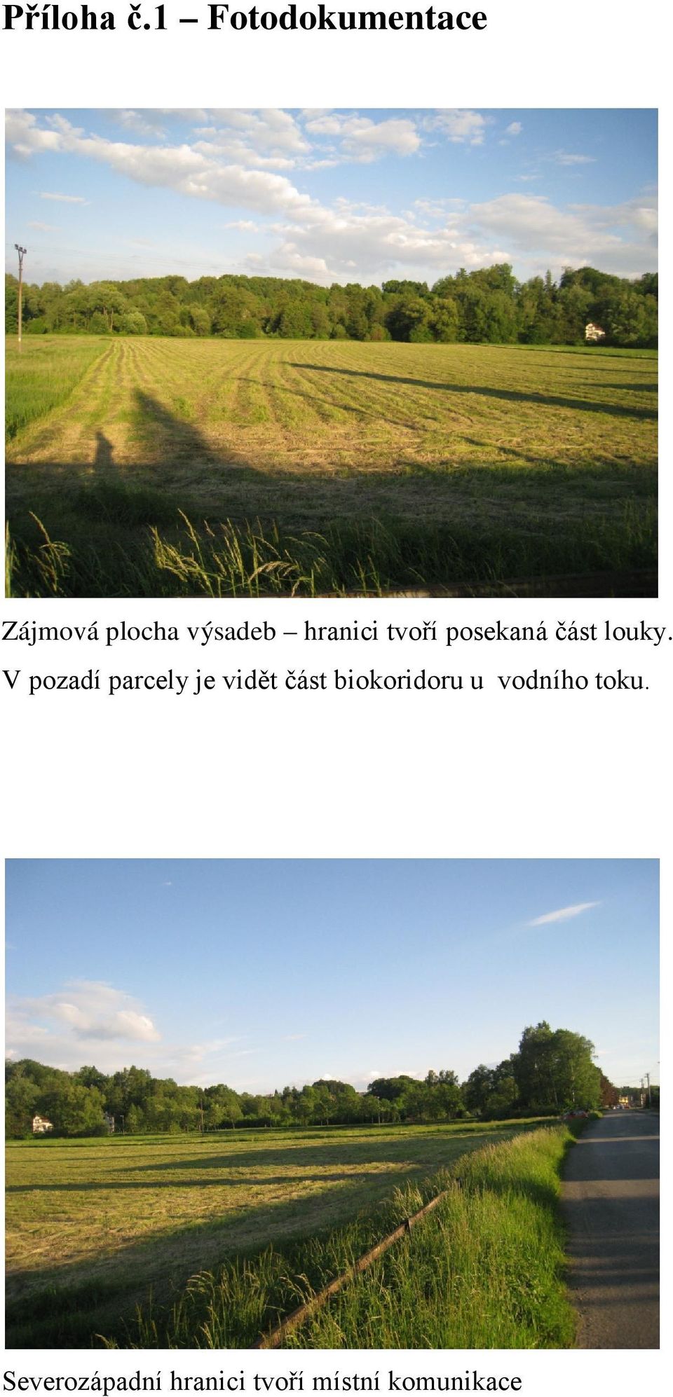 hranici tvoří posekaná část louky.