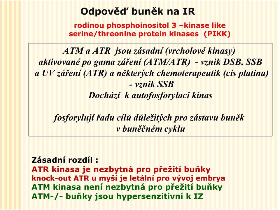 Dochází k autofosforylaci kinas fosforylují řadu cílů důležitých pro zástavu buněk v buněčném cyklu Zásadní rozdíl : ATR kinasa je