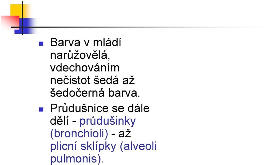 Průdušnice se dále dělí - průdušinky