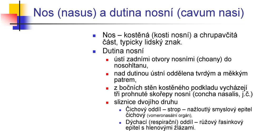 bočních stěn kostěného podkladu vycházejí tři prohnuté skořepy nosní (concha nasalis, j.č.) sliznice dvojího druhu