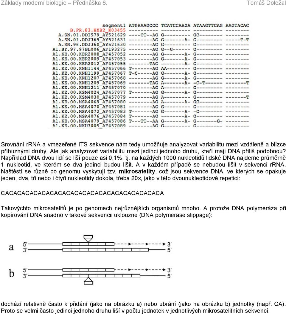 na každých 1000 nukleotidů lidské DNA najdeme průměrně 1 nukleotid, ve kterém se dva jedinci budou lišit. A v každém případě se nebudou lišit v sekvenci rrna.