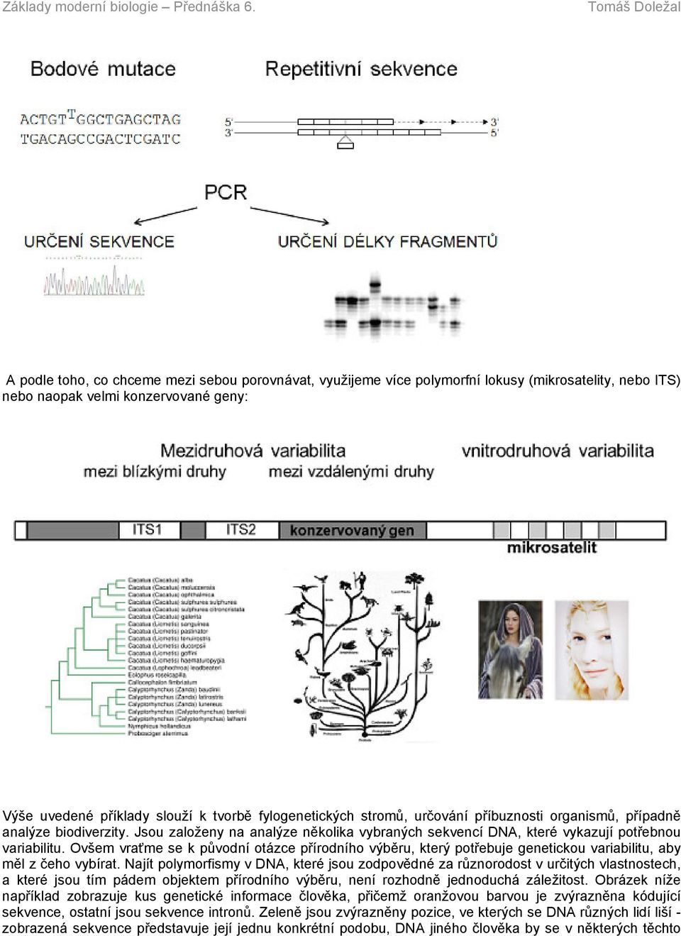 Ovšem vraťme se k původní otázce přírodního výběru, který potřebuje genetickou variabilitu, aby měl z čeho vybírat.