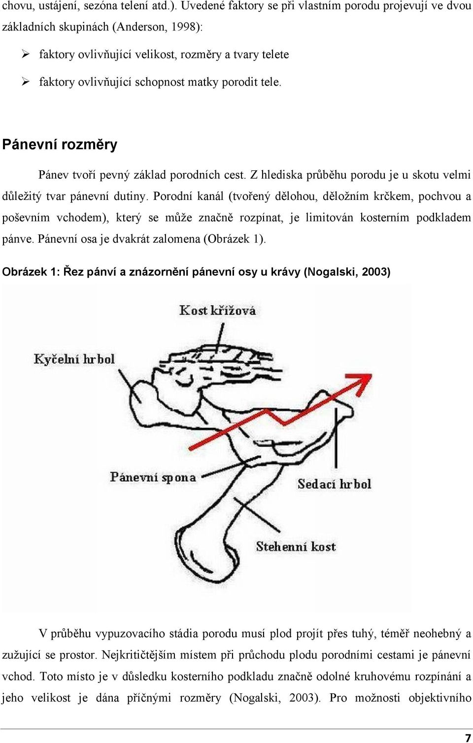 Pánevní rozměry Pánev tvoří pevný základ porodních cest. Z hlediska průběhu porodu je u skotu velmi důležitý tvar pánevní dutiny.