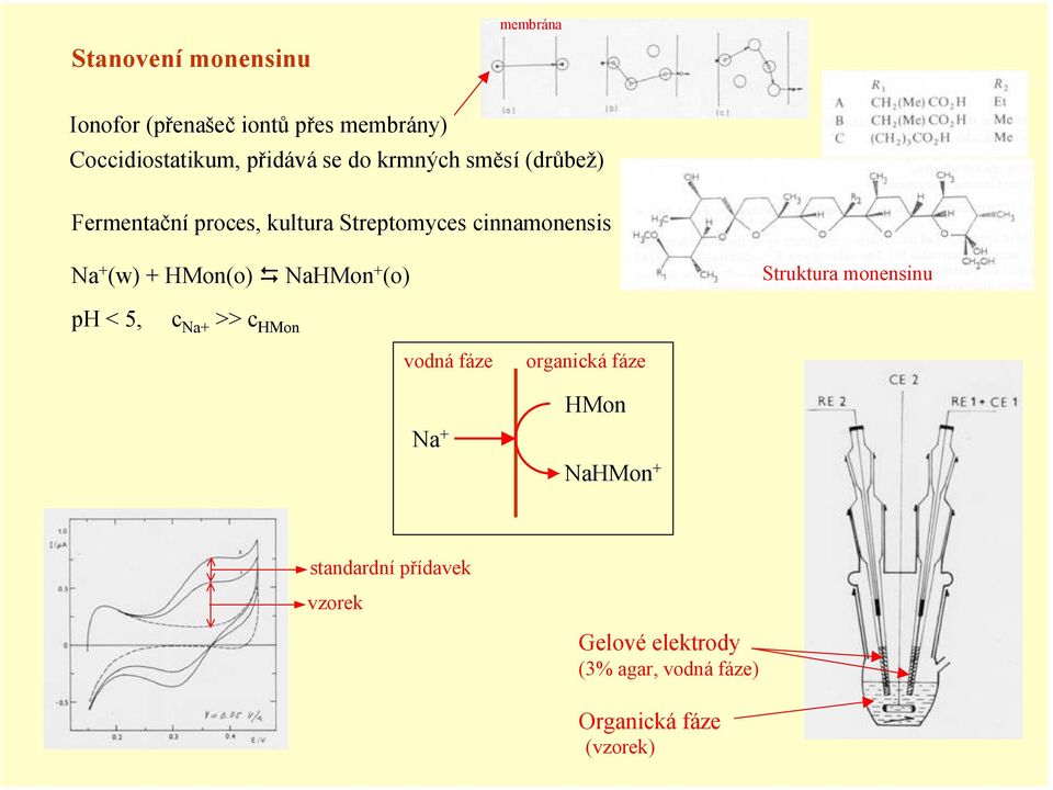 HMon(o) NaHMon (o) Struktura monensinu ph < 5, c Na >> c HMon vodná fáze Na organická fáze