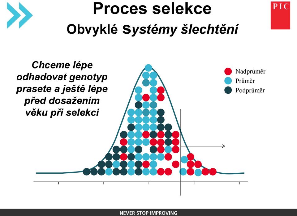 genotyp prasete a ještě lépe před