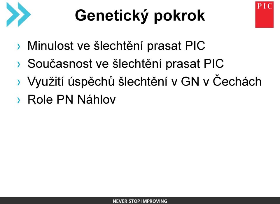 šlechtění prasat PIC Využití