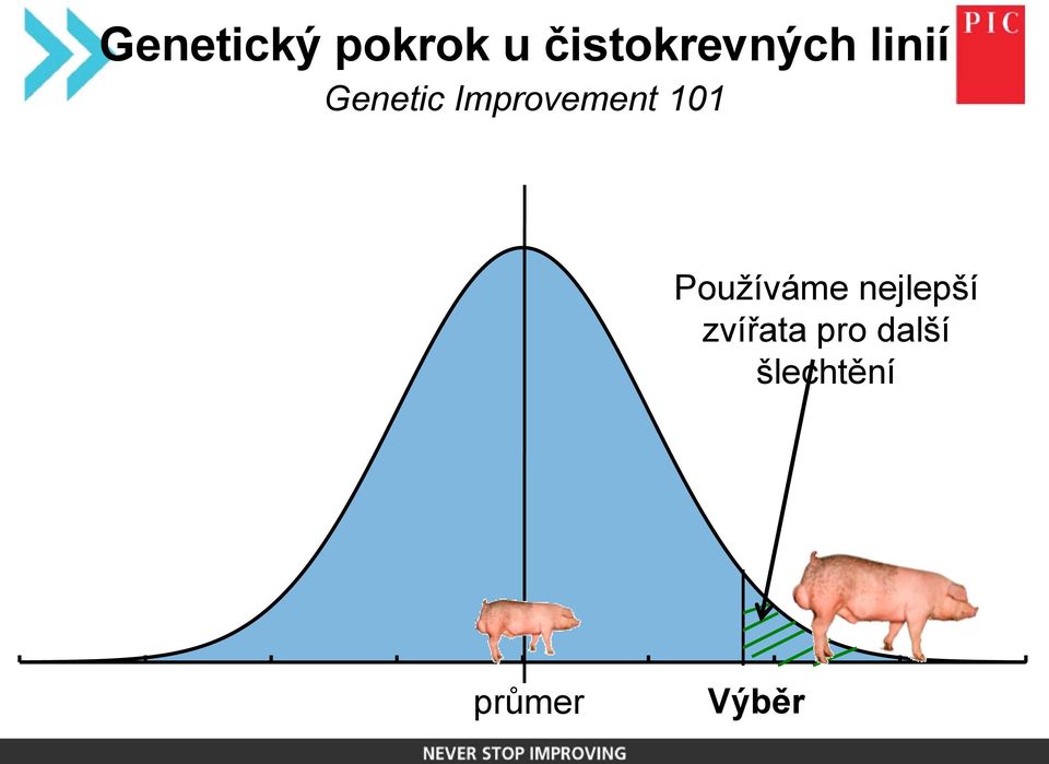 Improvement 101 Používáme