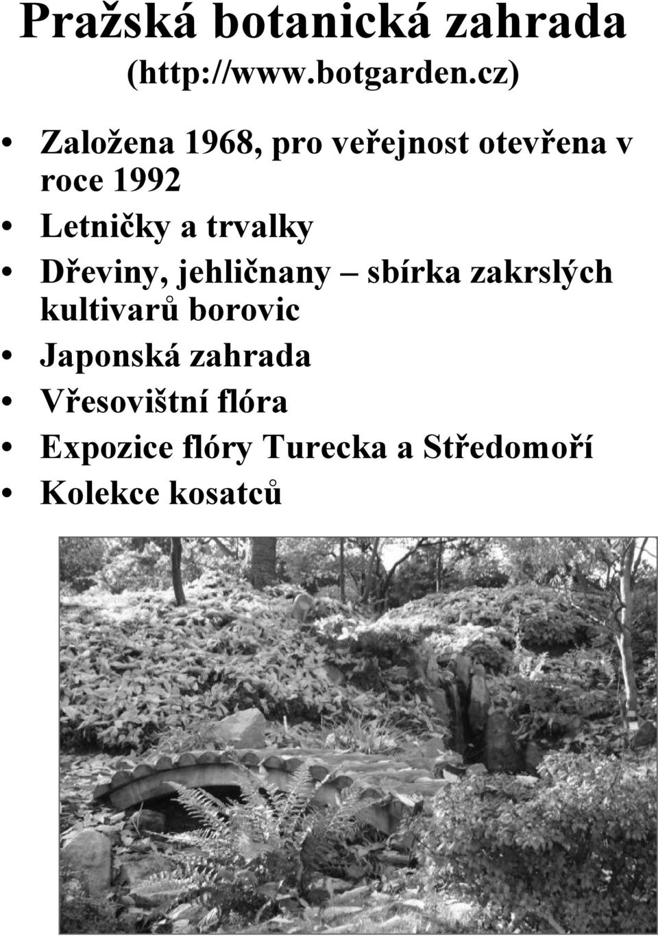 trvalky Dřeviny, jehličnany sbírka zakrslých kultivarů borovic