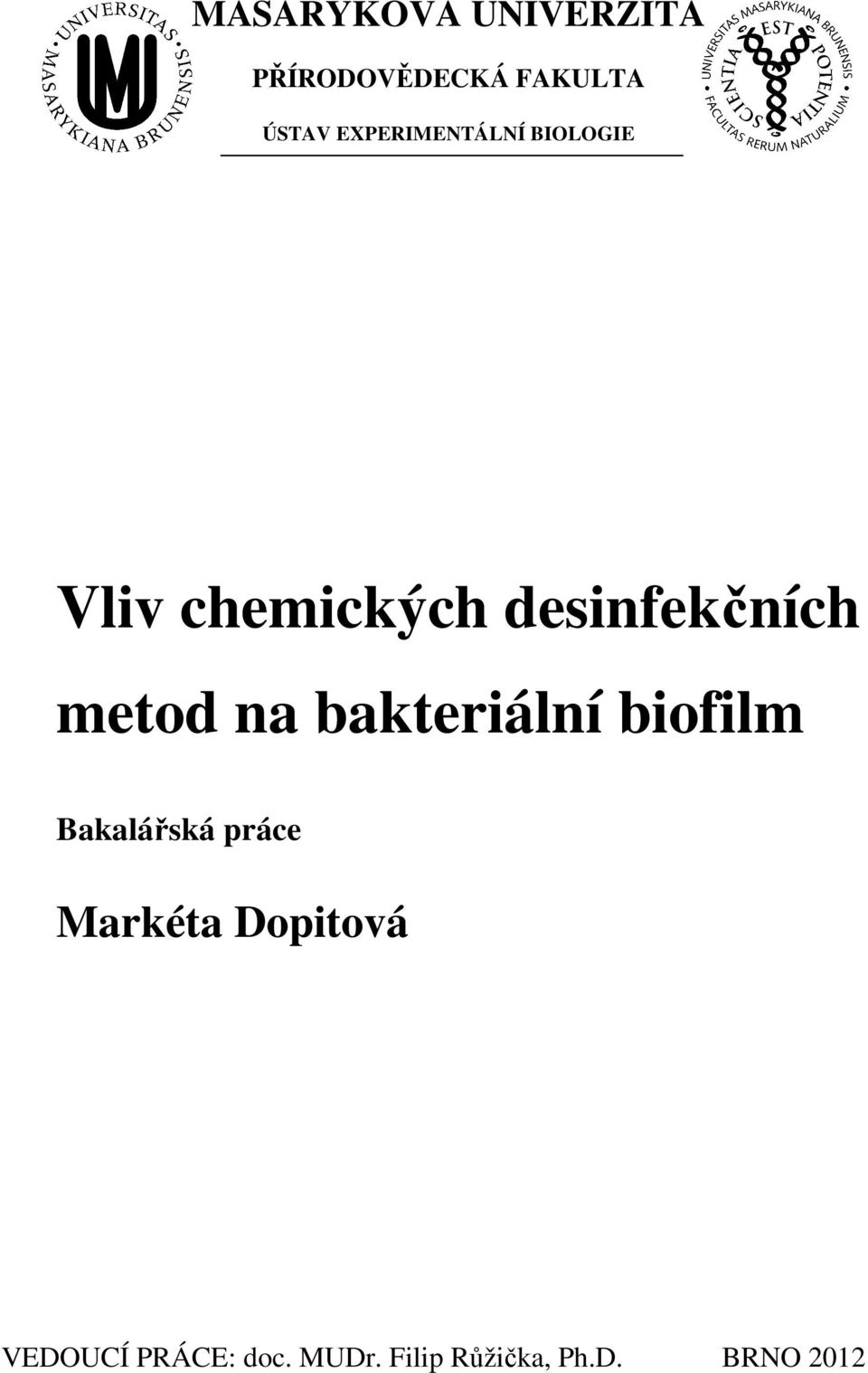 metod na bakteriální biofilm Bakalářská práce Markéta