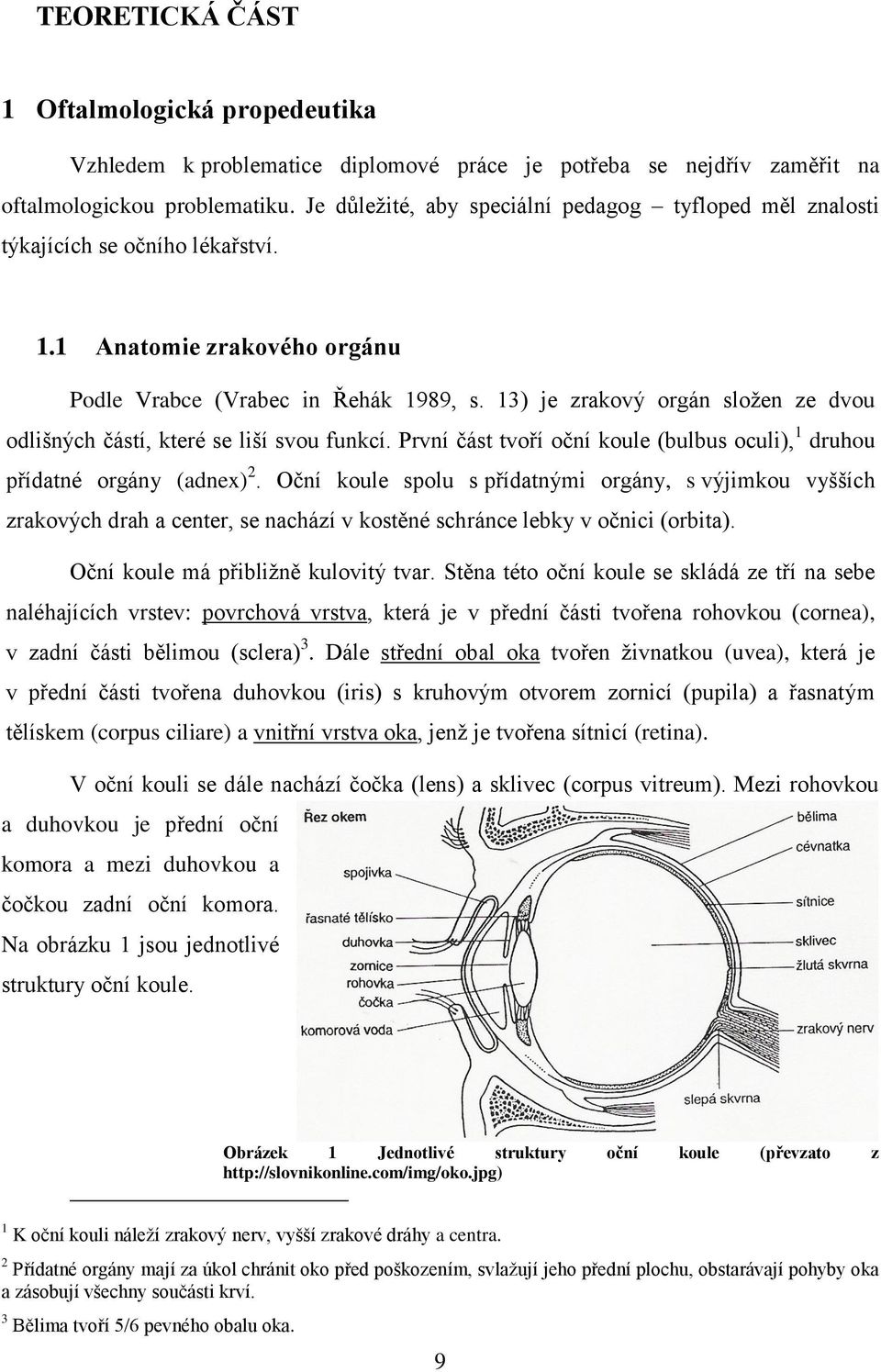 13) je zrakový orgán sloţen ze dvou odlišných částí, které se liší svou funkcí. První část tvoří oční koule (bulbus oculi), 1 druhou přídatné orgány (adnex) 2.