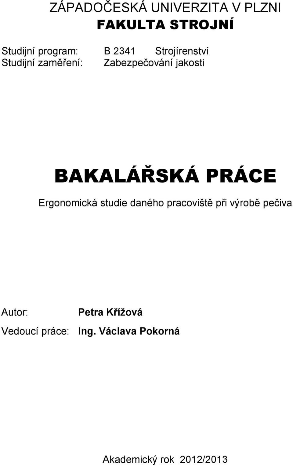 BAKALÁŘSKÁ PRÁCE Ergonomická studie daného pracoviště při výrobě