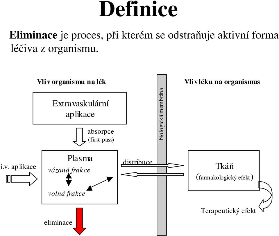 Vliv organismu na lék Vliv léku na organismus Extravaskulární aplikace absorpce
