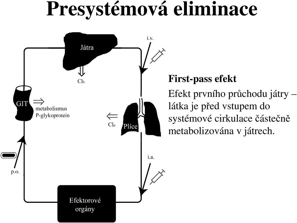 látka je před vstupem do systémové