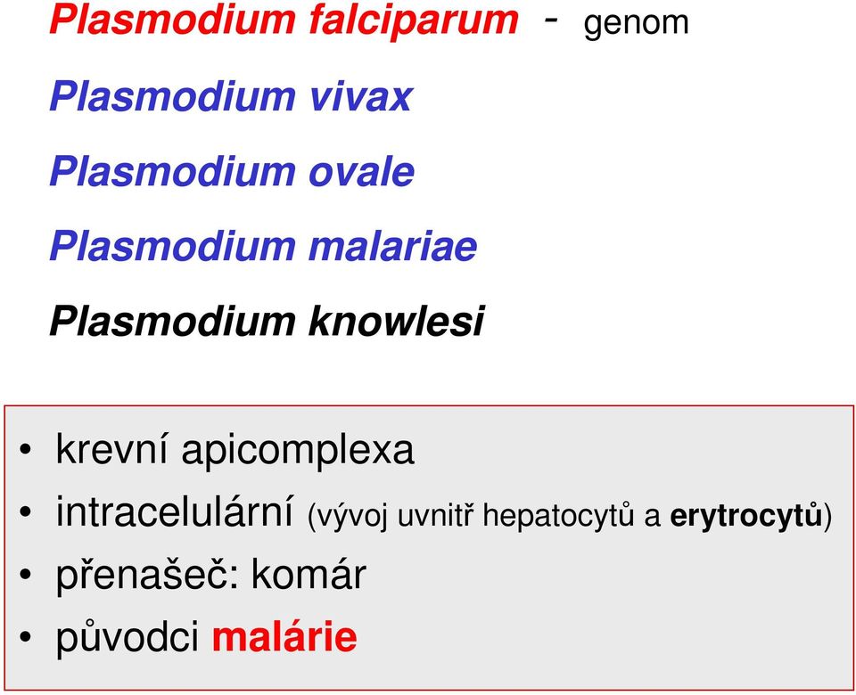 knowlesi krevní apicomplexa intracelulární (vývoj