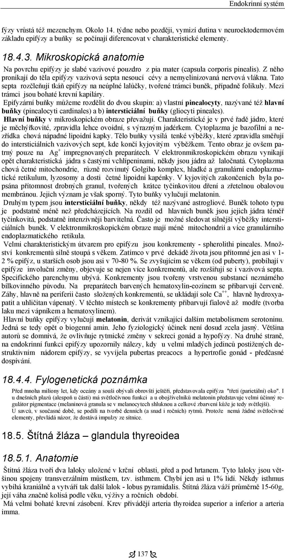 Z něho pronikají do těla epifýzy vazivová septa nesoucí cévy a nemyelinizovaná nervová vlákna. Tato septa rozčleňují tkáň epifýzy na neúplné lalůčky, tvořené trámci buněk, případně folikuly.