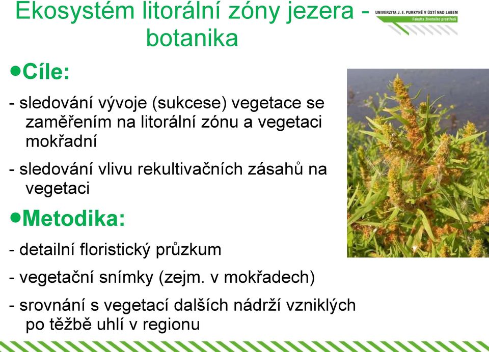 rekultivačních zásahů na vegetaci Metodika: - detailní floristický průzkum -