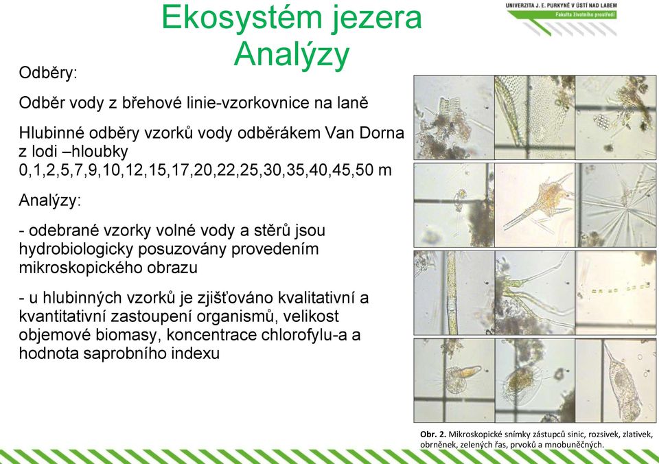 mikroskopického obrazu - u hlubinných vzorků je zjišťováno kvalitativní a kvantitativní zastoupení organismů, velikost objemové biomasy,