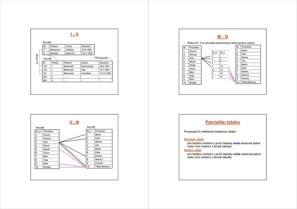 .0 Relace M : N se zpravidla zjednodušuje (dekompozice vztahu) ID Divoch Šmoula Kikin Moula Džejár Ufoun Bijec Dugi Mistr Bredpit ID_m ID_z ID Micka Kotě Manka Víla Miselí Dolly Bobina Mařena Pamela