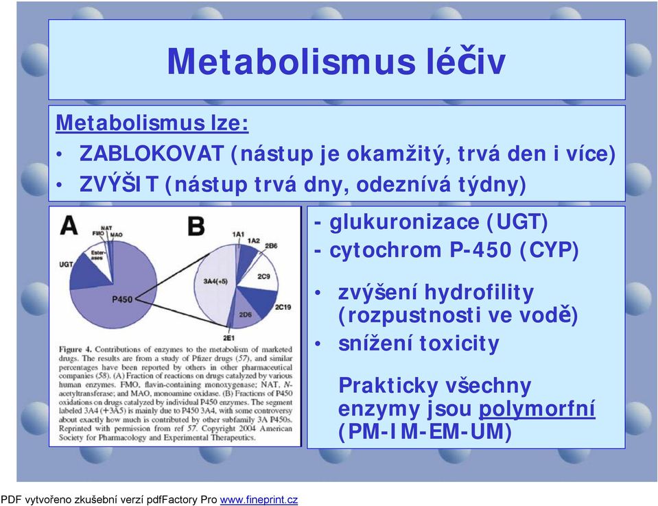 -glukuronizace (UGT) -cytochrom P-450 (CYP) zvýšení hydrofility