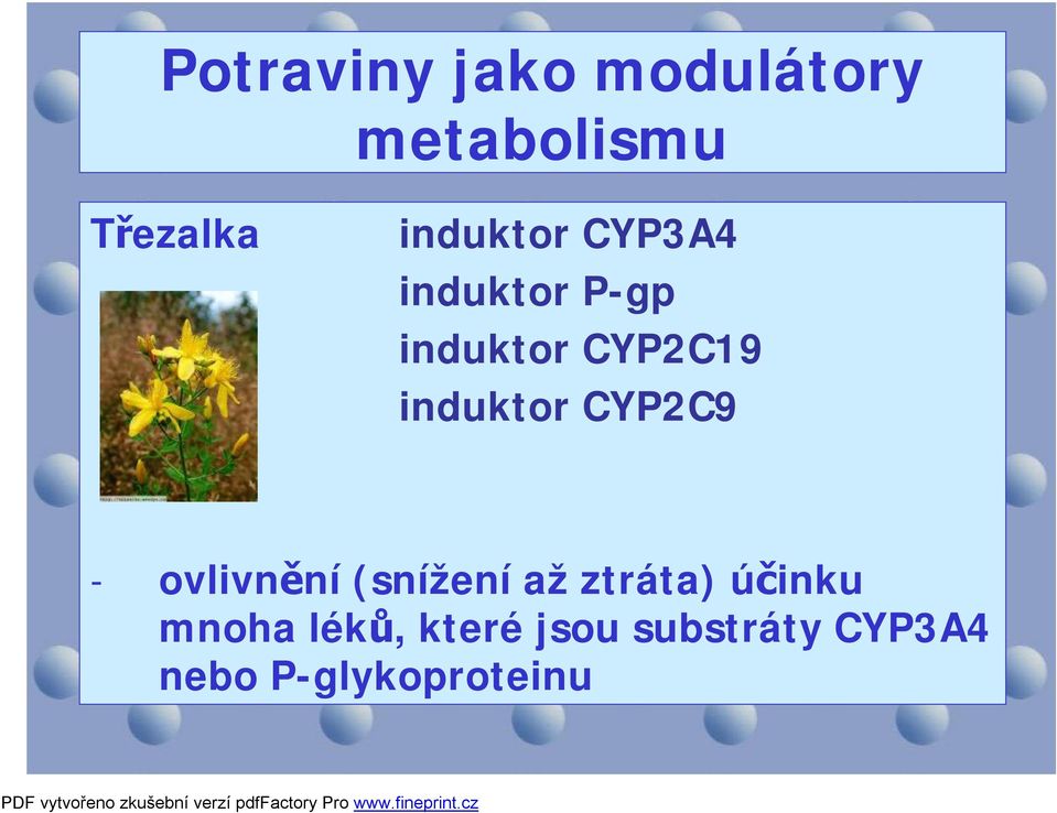 induktor CYP2C9 - ovlivnění (snížení až ztráta)
